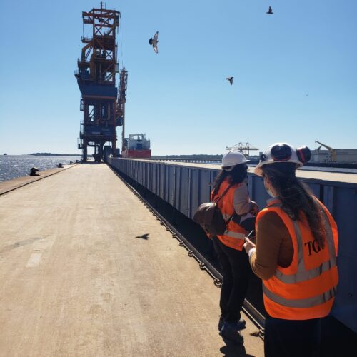 ASESORÍA Y SEGUIMIENTO AMBIENTAL ASESORÍA Y SEGUIMIENTO AMBIENTAL
